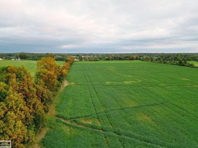 Land for sale in Michigan