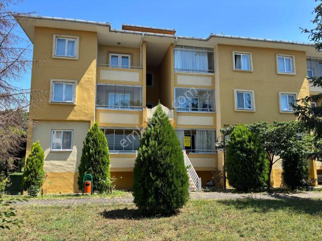 Düzce Merkez, Düzce içerisinde satılık mülk