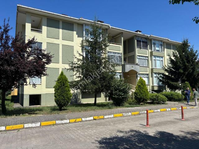 Düzce Merkez, Düzce içerisinde satılık mülk