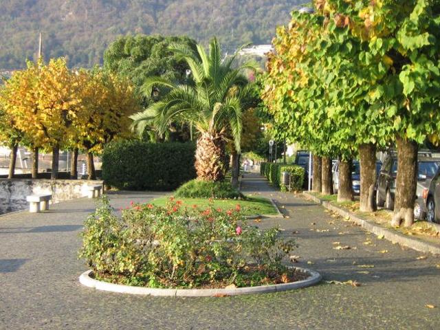 Terreno in vendita a Menaggio, Lombardia
