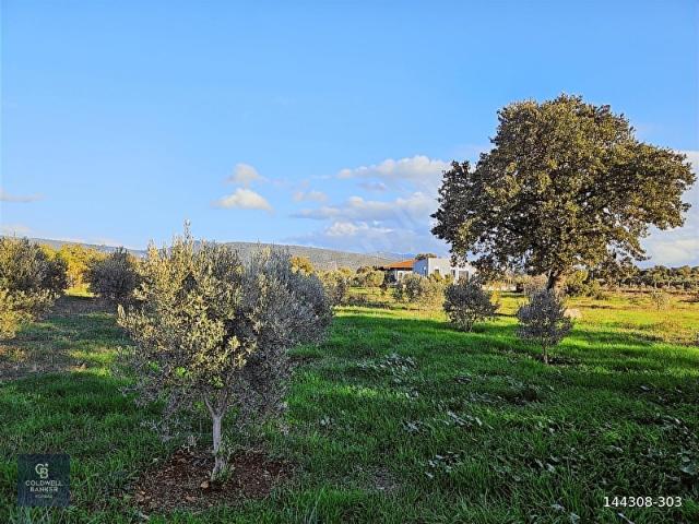 Menderes, İzmir içerisinde satılık Arsa