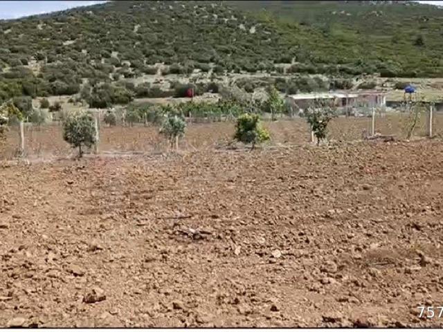 Menderes, İzmir içerisinde satılık Arsa