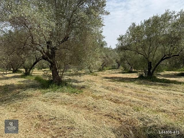 Menderes, İzmir içerisinde satılık mülk