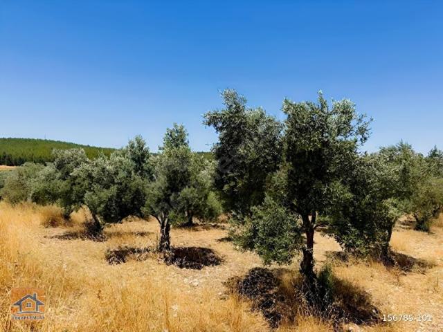 Torbali, İzmir içerisinde satılık Arsa