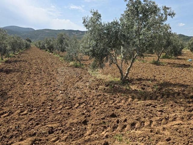 Menderes, İzmir içerisinde satılık mülk