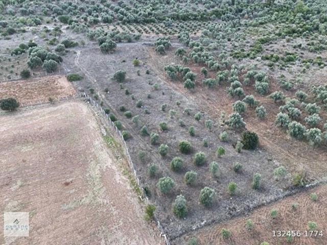 Menderes, İzmir içerisinde satılık Arsa