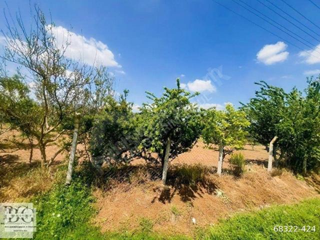 Menderes, İzmir içerisinde satılık mülk
