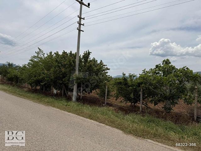 Menderes, İzmir içerisinde satılık mülk