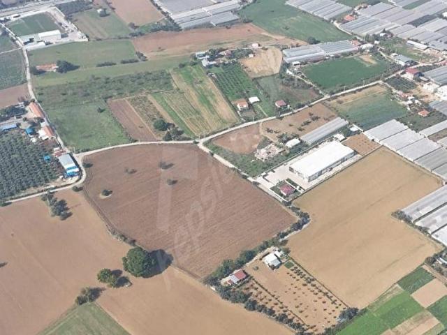 Menderes, İzmir içerisinde satılık Arsa