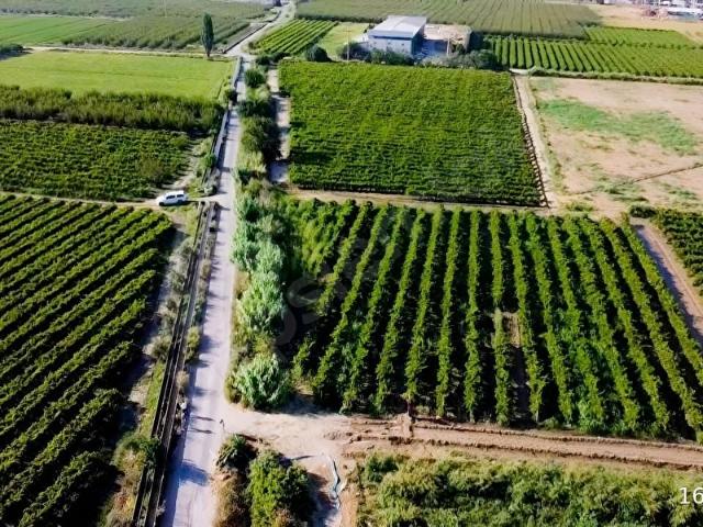 Çavuş Mahallesi, Menemen içerisinde satılık mülk