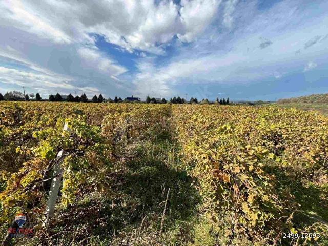 Menemen, İzmir içerisinde satılık Arsa