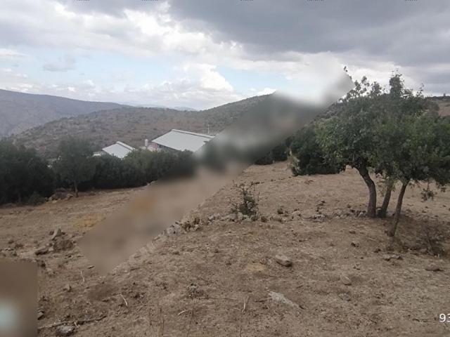 İzmir Merkez içerisinde satılık Tarla İzmir Merkez içerisinde satılık Tarla