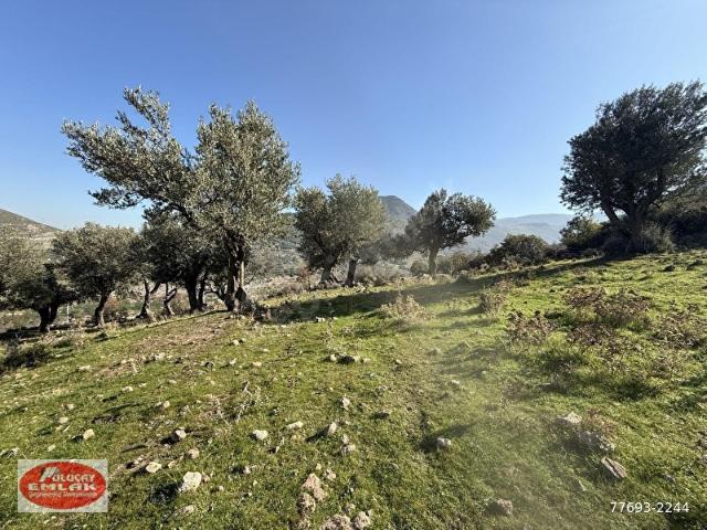 Menemen, İzmir içerisinde satılık Arsa