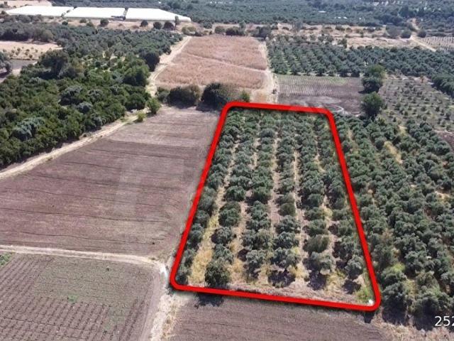 Menemen, İzmir içerisinde satılık Arsa