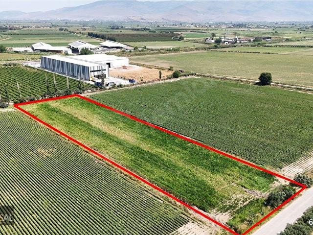 Menemen, İzmir içerisinde satılık Arsa