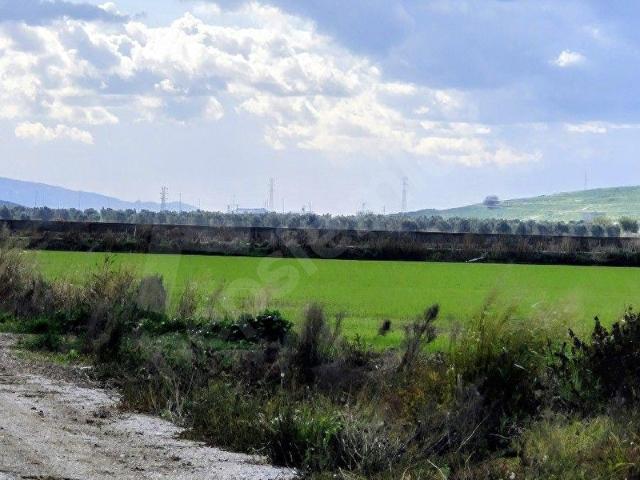 Menemen, İzmir içerisinde satılık Arsa