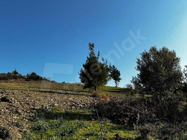 Menemen, İzmir içerisinde satılık Arsa