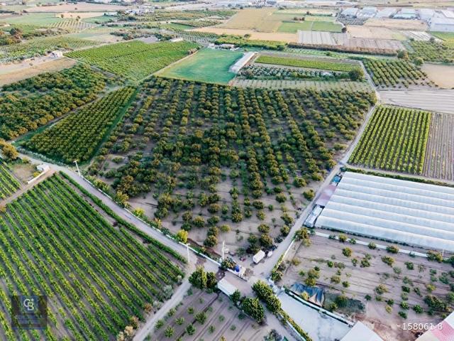Menemen, İzmir içerisinde satılık Arsa