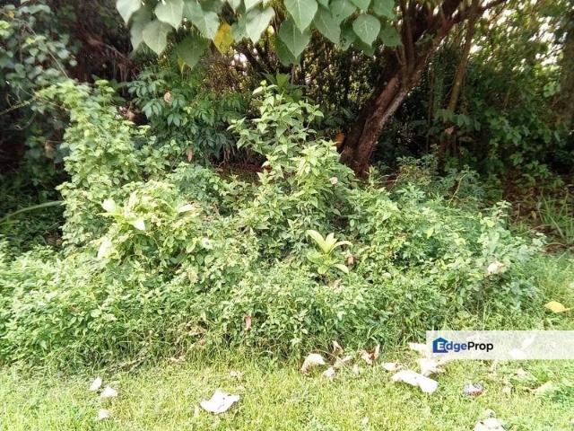 House for sale in Perak, Tanjong Ipoh