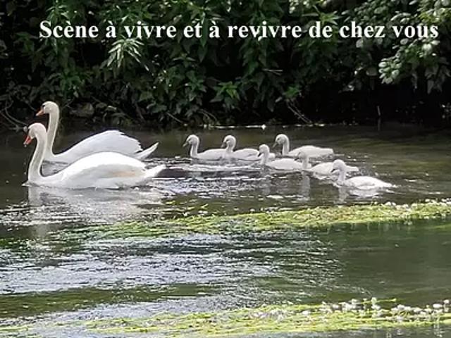 Maison vente à Ménilles, Eure