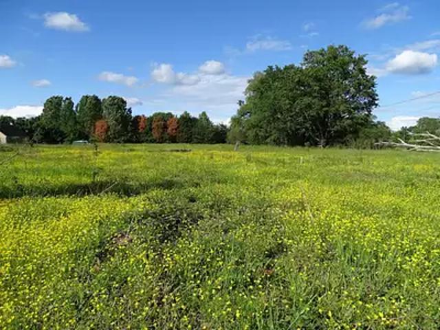 Terrain vente à Romorantin-Lanthenay, Mennetou-sur-cher