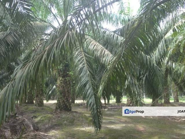 Shop for sale in Mentakab, Pahang