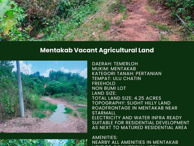 Shop for sale in Mentakab, Pahang