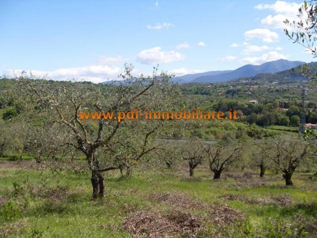 Terreno in vendita a Roma Capitale, Lazio