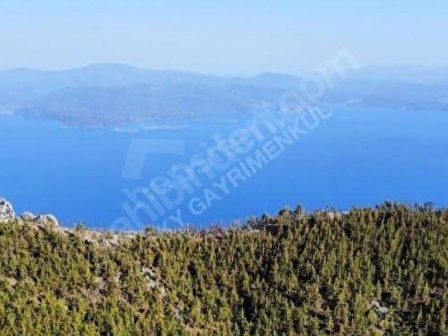 Muğla içerisinde satılık Arsa