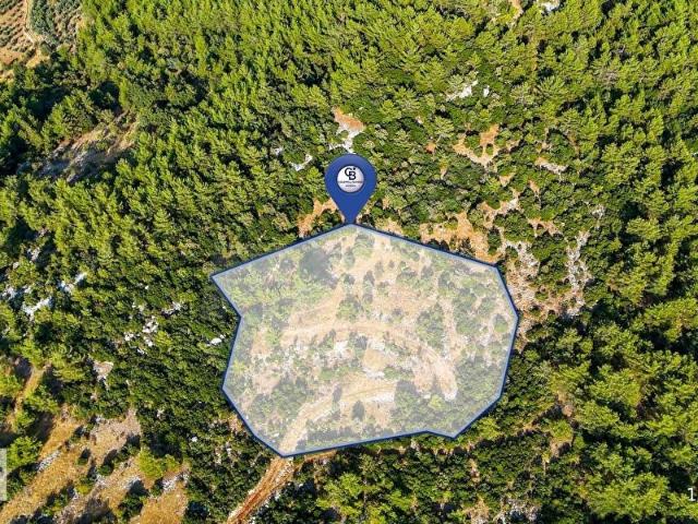 Muğla içerisinde satılık Arsa