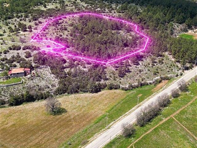 Muğla içerisinde satılık Arsa