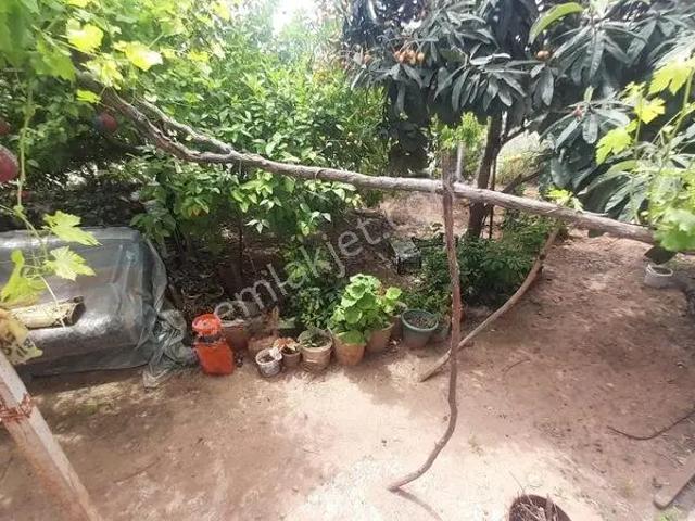 Yenişehir, Mersin içerisinde kiralık mülk