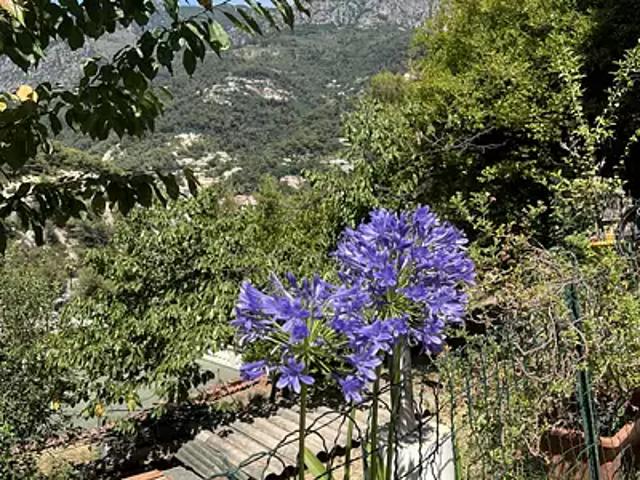 Terrain vente à France métropolitaine, Menton