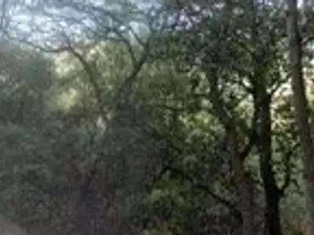 Terrain vente à France métropolitaine, Menton