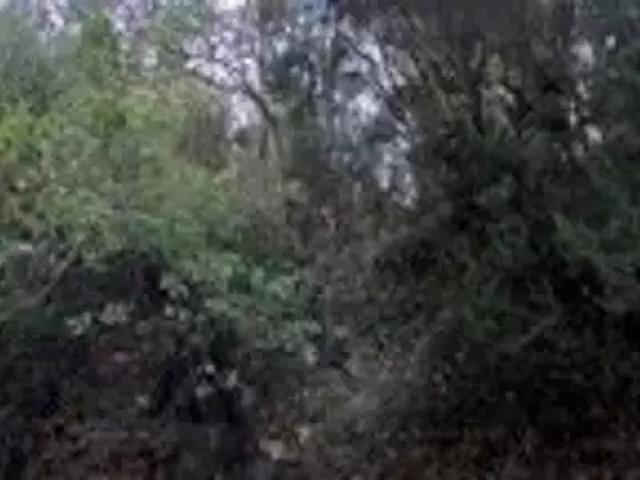 Terrain vente à France métropolitaine, Menton