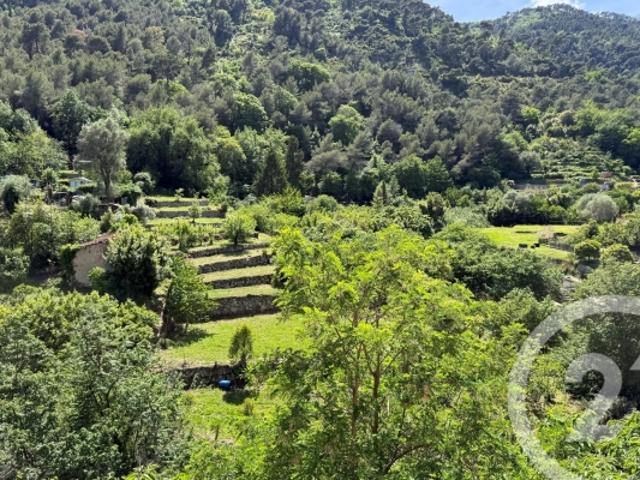 Appartement vente à Gorbio, Alpes-Maritimes