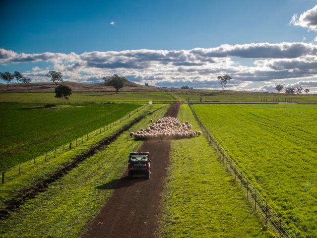 Cottage for sale in Purlewaugh, New South Wales
