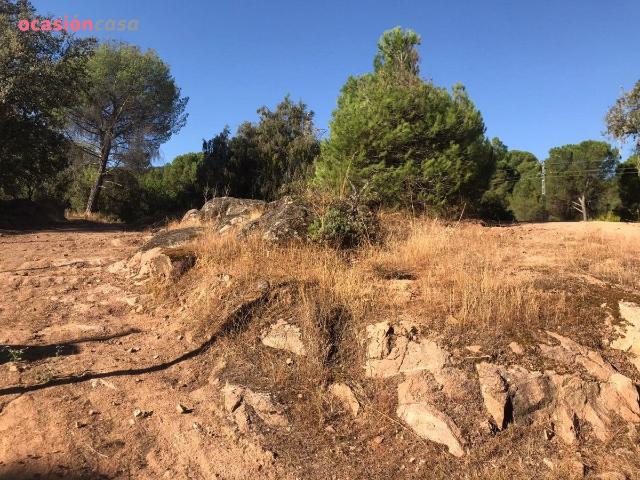 Terreno en venta en Distrito Centro, Córdoba