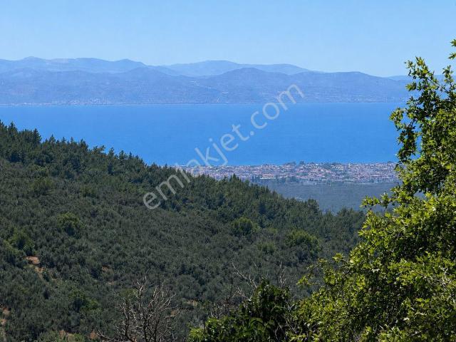 Edremit, Balikesir içerisinde satılık Villa