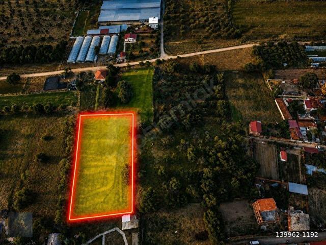 Burhaniye, Balikesir içerisinde satılık Arsa