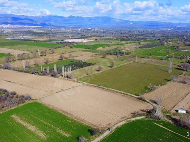Burhaniye, Balikesir içerisinde satılık Arsa