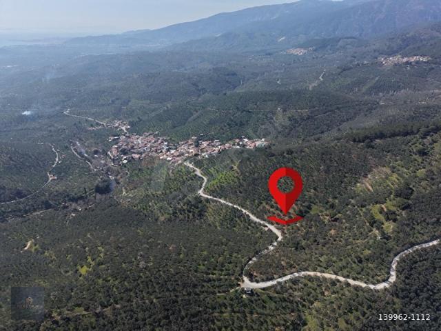 Edremit, Balikesir içerisinde satılık mülk