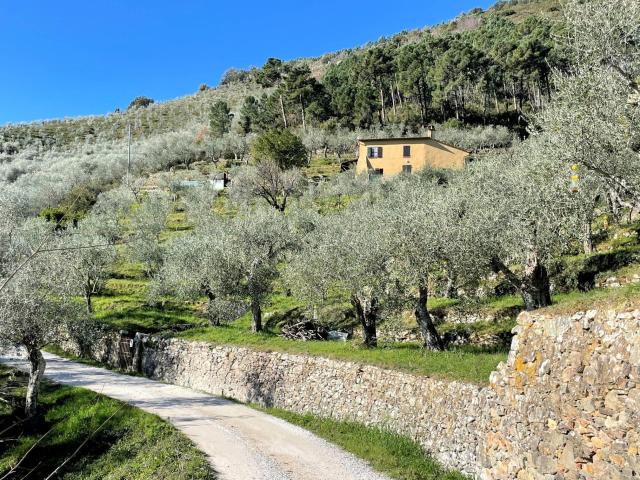 Casa in vendita a Pontegrande-Sant'Andrea, Calci
