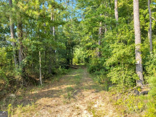 Land for sale in Myricks Mill, Jeffersonville