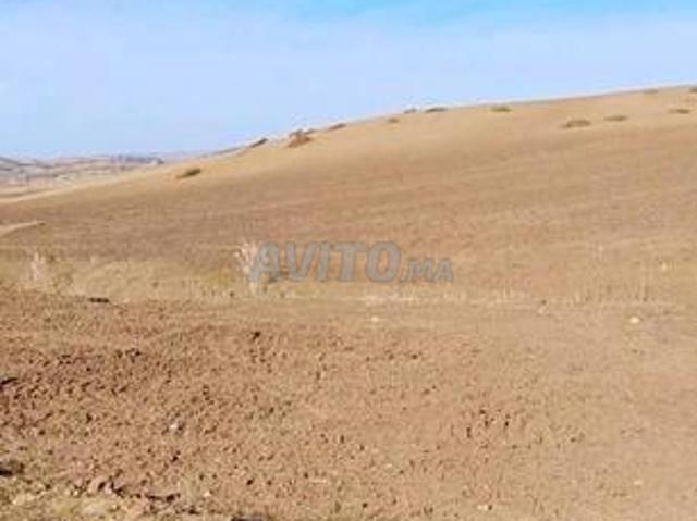 Propriété vente à Larache, Tanger-Tétouan