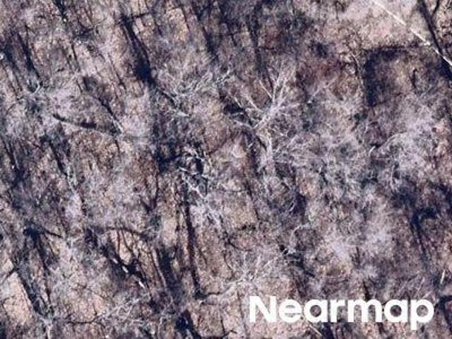 Land for sale in Carroll County, Arkansas