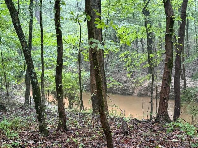 Land for sale in Mississippi