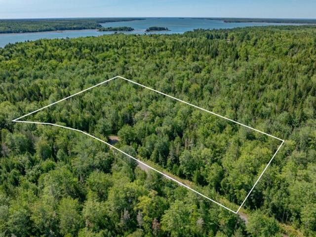 Land for sale in Corea, Maine