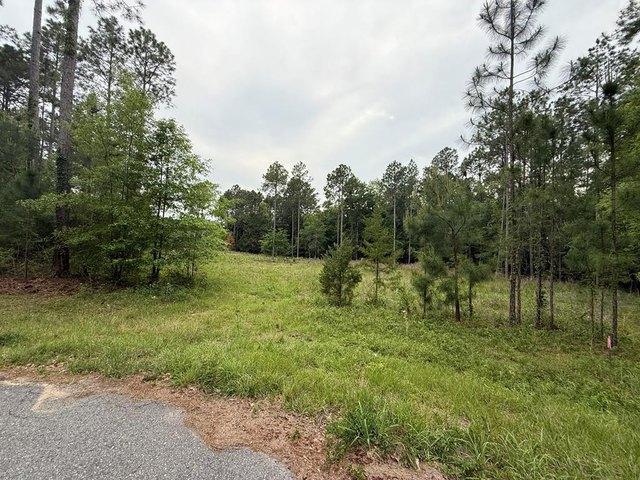 Land for sale in Moultrie, Georgia