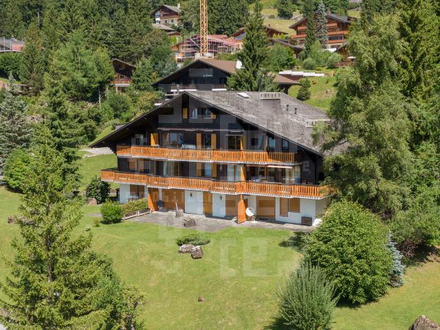 Wohnung kaufen in Ollon (VS), Waadt